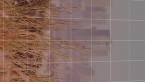 Animation of financial data processing over boxes on conveyor belts. Ukraine crisis and international politics concept digitally generated video. - Powered by Shutterstock - Get 15% off with code: PIKWIZARD15