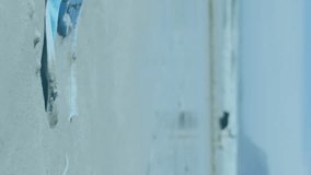 Animation of trading board and graphs over close-up on mask and dogs playing on beach. Digital composite, multiple exposure, report, finance, stock market, corona virus and protection concept. - Powered by Shutterstock - Get 15% off with code: PIKWIZARD15