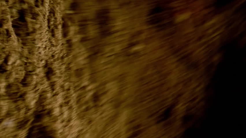 Animation of data processing over digger and builder at construction site. Global development, finance, business, connections, computing and data processing concept digitally generated video. - Powered by Shutterstock - Get 15% off with code: PIKWIZARD15