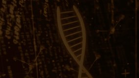 DNA strand and binary coding in animation for scientific data processing. Science, biotechnology, digital, genetics, research, technology - Powered by Shutterstock - Get 15% off with code: PIKWIZARD15