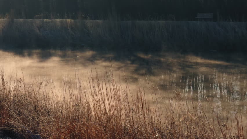 Morning sun and fog rising on the lake, fog in the sun rays, natural spectacle on the river, s