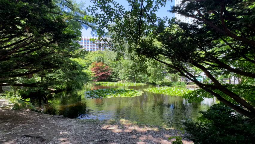 Calm Sapporo Park Scenery with Lush Greenery and Reflective Pond