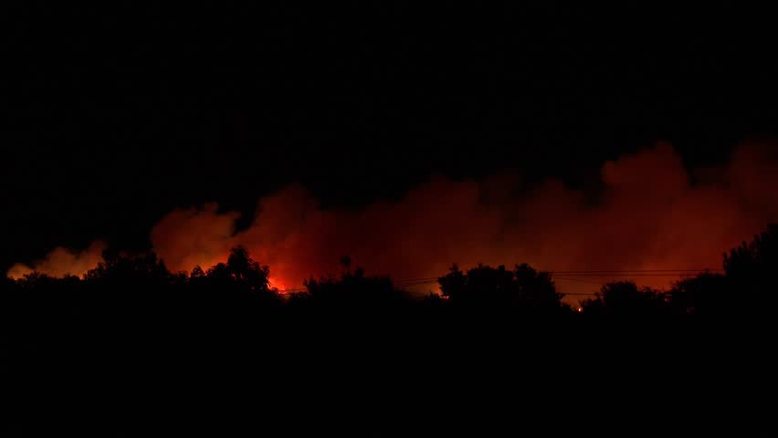 A nighttime forest fire paints the horizon red and orange as the flames reduce the surrounding trees to ashes.
