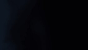 Animation of digital interface circle data loading and financial data processing. global connections, digital interface and data processing concept digitally generated video. - Powered by Shutterstock - Get 15% off with code: PIKWIZARD15