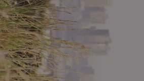 Animation of scope scanning with padlock icon over cityscape. Global technology, online security and digital interface concept digitally generated video. - Powered by Shutterstock - Get 15% off with code: PIKWIZARD15