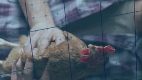 Animation of financial data processing over caucasian man holding chicken. Global finances, ecology and digital interface concept digitally generated video. - Powered by Shutterstock - Get 15% off with code: PIKWIZARD15