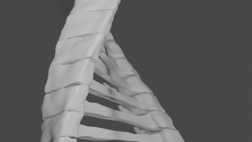 Animation of dna strand, mathematical formulae and scientific data processing over grey background. Global science, computing and data processing concept digitally generated video. - Powered by Shutterstock - Get 15% off with code: PIKWIZARD15