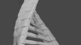 Animation of dna strand, mathematical formulae and scientific data processing over grey background. Global science, computing and data processing concept digitally generated video. - Powered by Shutterstock - Get 15% off with code: PIKWIZARD15