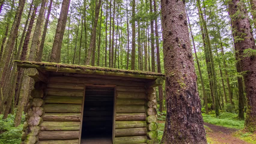 The footage shows a rustic cabin or shelter surrounded by trees in Ecola State Park, Oregon. This location is ideal for peaceful nature retreats and park exploration.