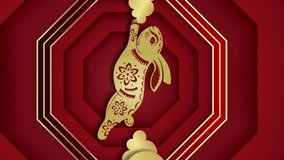 Animation of chinese traditional decorations with rabbit and confetti on red background. Chinese new year, festivity, celebration and tradition concept digitally generated video. - Powered by Shutterstock - Get 15% off with code: PIKWIZARD15