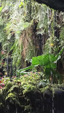 Rainwater streaming down a window pane, with a backdrop of lush green trees and leaves. The image captures a calm, natural scene on a rainy day, evoking a peaceful and moody atmosphere.