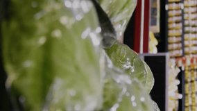 Animation of data processing and diagrams over caucasian woman picking vegetables in shop. Shopping, ecology and digital interface concept digitally generated video. - Powered by Shutterstock - Get 15% off with code: PIKWIZARD15