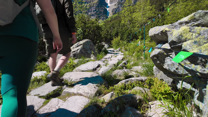 A woman with a backpack is hiking up a scenic mountain path paved with stones, surrounded by dense greenery. Bright sunlight illuminates the route, while small trail markers add a sense of organized