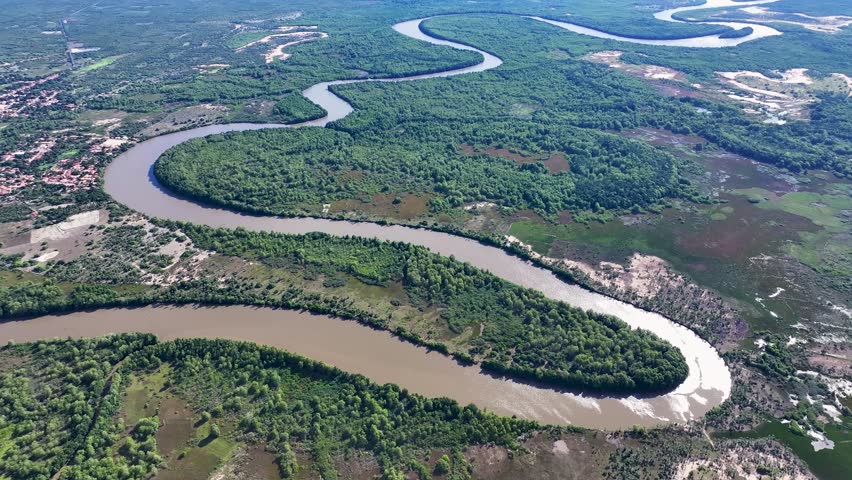 Parnaiba Delta In Araioses Maranhao Brazil. Birds Eye View Of Stunning Dark River And Forest Trees. Travel Trees Wilderness Jungle. Wilderness Amazon Inundation. Araioses Maranhao.