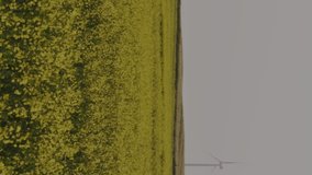 Animation of statistical and stock market data processing against spinning windmills on grassland. Global economy and renewable energy technology concept - Powered by Shutterstock - Get 15% off with code: PIKWIZARD15