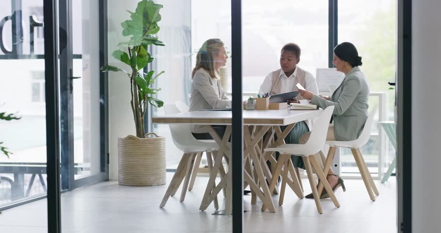 Portfolio, planning or business women in meeting for budget feedback, research or review. Glass, financial manager or analyst talking in office with teamwork, documents or task for project funding