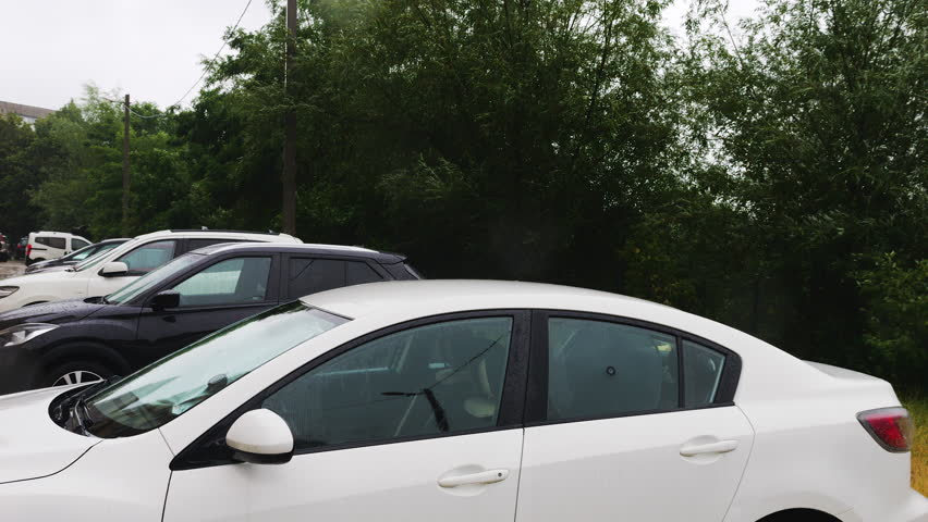 Tree branches during rain with wind. Raindrops against the background of trees in summer. Cars in the parking lot.