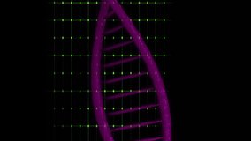 DNA strand and grid lines, scientific data processing animation. Science, genetics, biotechnology, molecular, research, analysis - Powered by Shutterstock - Get 15% off with code: PIKWIZARD15