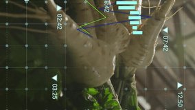 Animating financial data chart over fresh vegetables in market. Finance, data visualization, market trends, agriculture, analysis, economy - Powered by Shutterstock - Get 15% off with code: PIKWIZARD15