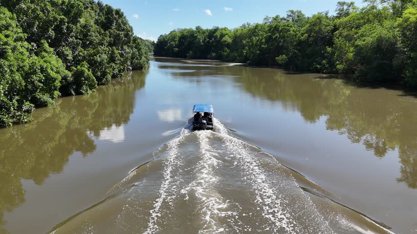 Boat Tour In Tutoia Maranhao Brazil. Amazon Rainforest Showing River Winding Dense Jungle. Travel Environmental Wilderness Jungle. Travel Panoramic View. Tutoia Maranhao.