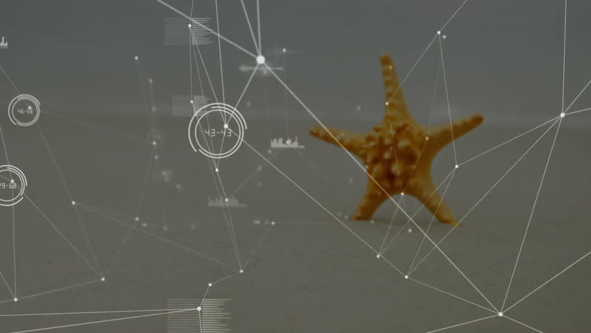 Translucent HUD initiating scan on orange starfish, pulsing nodes, mapping textures, showing data. Marine, technology, analytics, futurism, coastal, digital, data visualization