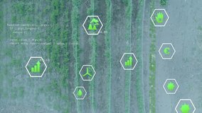 Workers entering crop rows and harvesting produce while animated hex metrics updating farming data. Agriculture, sustainability, precision farming, environmental data, teamwork, outdoor, eco-friendly - Powered by Shutterstock - Get 15% off with code: PIKWIZARD15