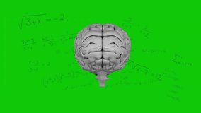 Opening with gray 3D brain rotating clockwise revealing hemispheres against green math backdrop. Neuroscience, cognition, education, digital, technology, innovation, abstract - Powered by Shutterstock - Get 15% off with code: PIKWIZARD15