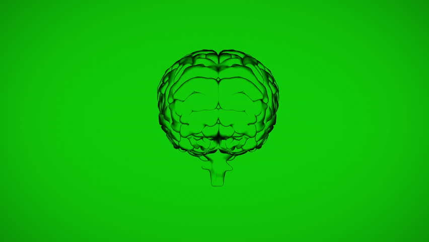 3D brain model rotating after faint alphanumeric symbols appearing swirling visualizing code flow. Technology, neuroscience, innovation, virtual, digital, futuristic, data - Powered by Shutterstock - Get 15% off with code: PIKWIZARD15