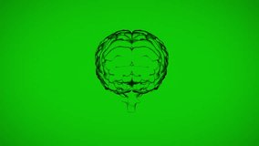 3D brain model rotating after faint alphanumeric symbols appearing swirling visualizing code flow. Technology, neuroscience, innovation, virtual, digital, futuristic, data - Powered by Shutterstock - Get 15% off with code: PIKWIZARD15