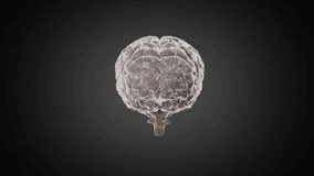 Floating 3D brain splitting, tracing world map, popping icons, pulsing links, densifying network. Neural network, data visualization, technology, connectivity, innovation, digital interface, science - Powered by Shutterstock - Get 15% off with code: PIKWIZARD15