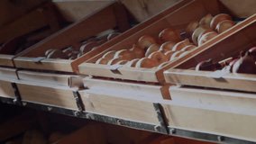 On start camera panning over crates revealing oranges onions avocados with AR layer scanning stock. Produce, freshness, technology, sustainability, retail, agriculture, digital - Powered by Shutterstock - Get 15% off with code: PIKWIZARD15