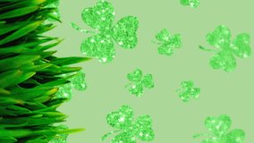 Animation of clovers and grass on green background. st patricks day and celebration concept digitally generated video. - Powered by Shutterstock - Get 15% off with code: PIKWIZARD15