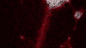 Animation of macro Covid-19 cells floating with mathematic formulae. Coronavirus Covid-19 pandemic concept digital composite. - Powered by Shutterstock - Get 15% off with code: PIKWIZARD15