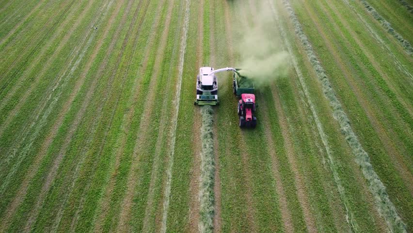 Agricultural machinery working in field. Harvesting forage, grass, silage, haylage for dairy farming. High-tech combine loads dried grass from mown grass into tractor trailer. Industrial agriculture.