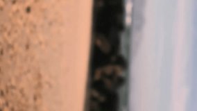 Animation of social media icons and numbers on banners over sportsman using smartwatch. global networking, social media, technology and digital interface concept digitally generated video. - Powered by Shutterstock - Get 15% off with code: PIKWIZARD15