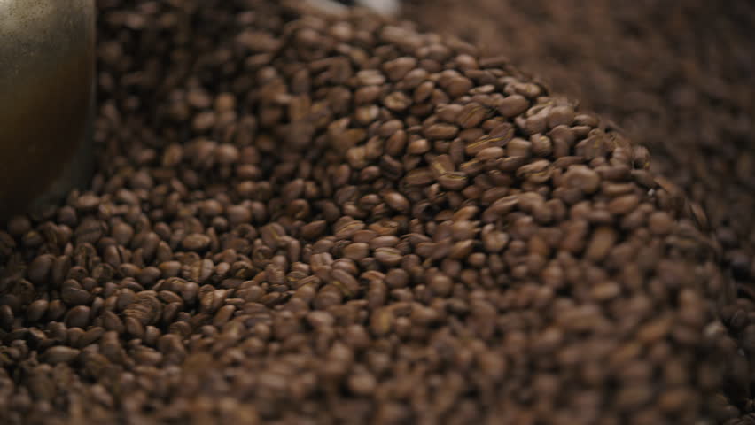 Close up male palms arms taking roasted beans of cacao unrecognizable African American man hands holding aromatic roasted coffee mixing roast in roasting machine guy expert in fabric caffeine quality