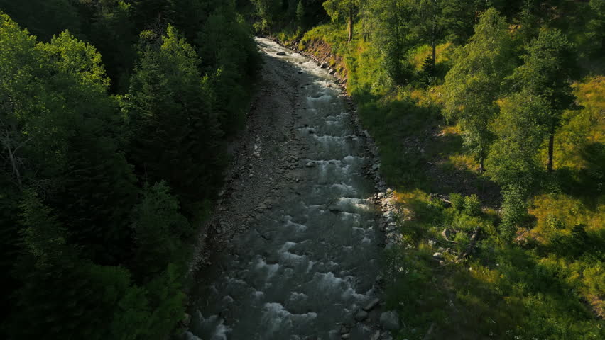 Sunlit river flowing through green forest