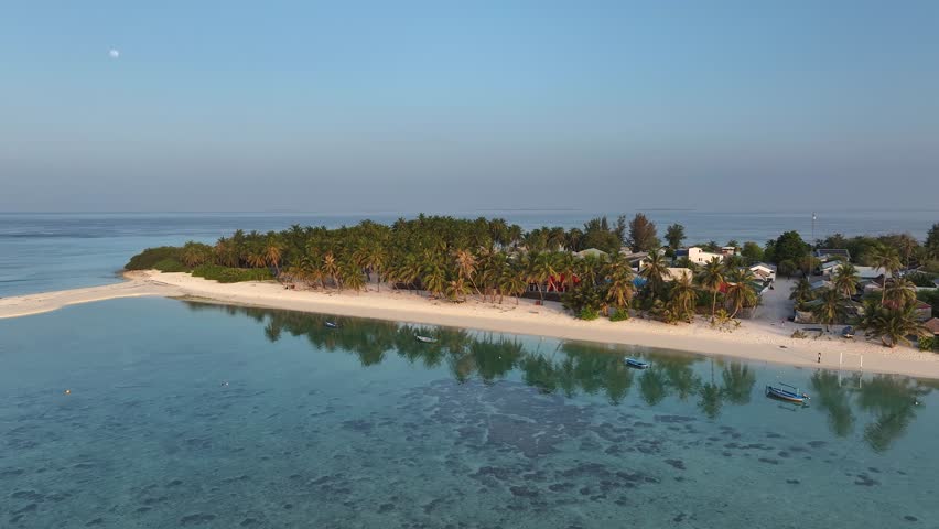 Aerial view of palm trees and sandy beach, Maldives.