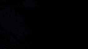 Animation of neon shapes moving over tropical leaves on black background. Shapes, colours, light and movement concept digitally generated video. - Powered by Shutterstock - Get 15% off with code: PIKWIZARD15