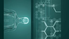 Animation of dna helix rotating over digital screens with medical structures. Digitally generated, multiple exposure, healthcare, molecule, anatomy, brain abstract, chemistry and biology concept. - Powered by Shutterstock - Get 15% off with code: PIKWIZARD15