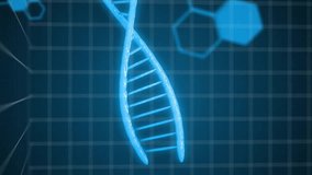 Animation of digital data processing over dna strands spinning. Global science, connections, computing and data processing concept digitally generated video. - Powered by Shutterstock - Get 15% off with code: PIKWIZARD15