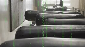 Boxer training with punching bag, green data visualization animation over gym scene. Boxing, fitness, athlete, exercise, workout, technology - Powered by Shutterstock - Get 15% off with code: PIKWIZARD15