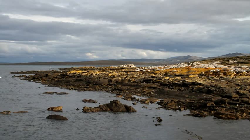 Falkland Island Landscape