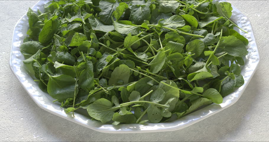 Freshly harvested land cress as on a platter. It is a good substitute for watercress. It can be used in sandwiches, salads, or cooked like spinach, or added to soups.