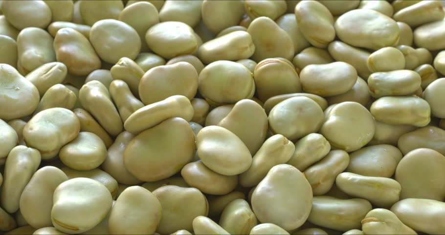 Fresh, shelled fava beans (Vicia faba) with a second skin. Background texture with rotation around the center point. Selective focus.