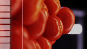 Animation of data processing on diagram over fresh tomatoes. Shopping, ecology and digital interface concept digitally generated video. - Powered by Shutterstock - Get 15% off with code: PIKWIZARD15