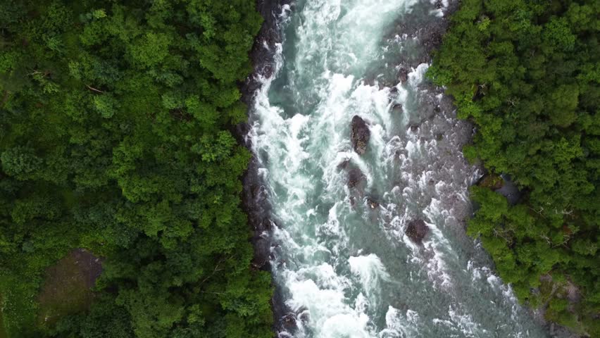 Stunning aerial footage of a fast-flowing river cutting through dense green forest in Norway. Crystal-clear whitewater rapids and scattered rocks create a dynamic, powerful natural scene