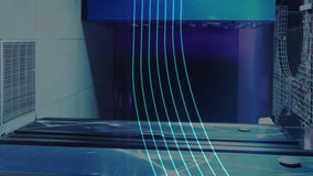 Animation of globe over server room. Global technology, connections, computing and digital interface concept digitally generated video. - Powered by Shutterstock - Get 15% off with code: PIKWIZARD15