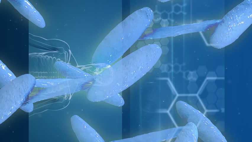 DNA strand and scientific data processing animation over brain and human body diagrams. Science, technology, genetics, biotechnology, research, healthcare - Powered by Shutterstock - Get 15% off with code: PIKWIZARD15