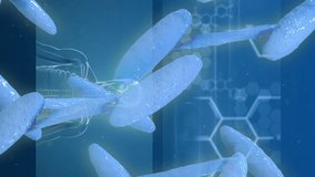 DNA strand and scientific data processing animation over brain and human body diagrams. Science, technology, genetics, biotechnology, research, healthcare - Powered by Shutterstock - Get 15% off with code: PIKWIZARD15